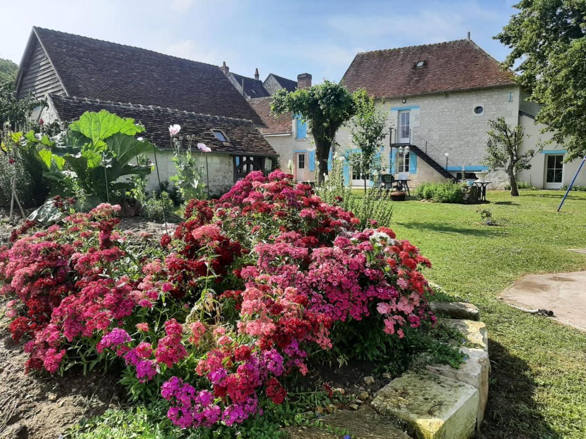 Le Moulin Bleu Bed and Breakfast Seigy Exteriör bild